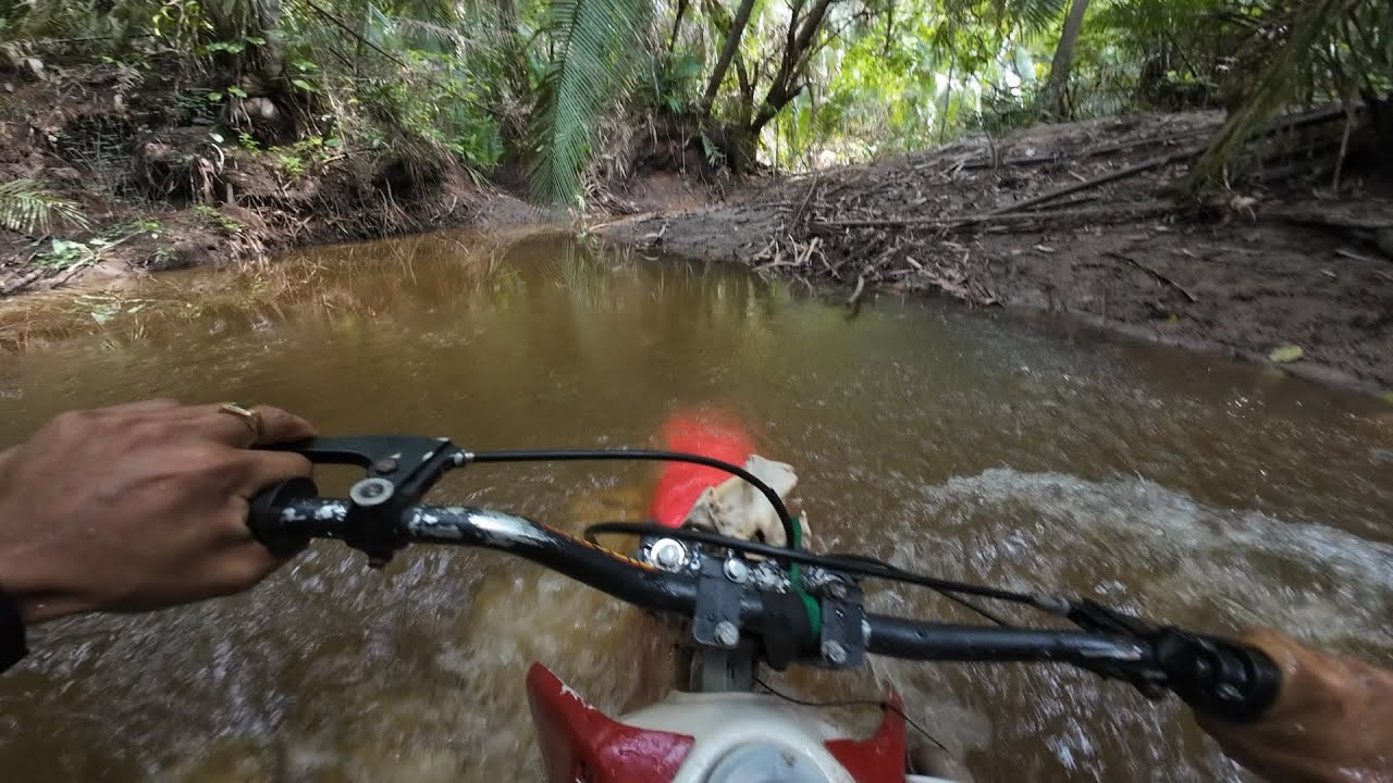 A biriba bebeu água 🥲🥲 vídeo de hoje tá insano as biriba foram botadas a prova 🔥🔥