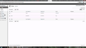 Domain Mapping Option Location in Wordpress 3 0