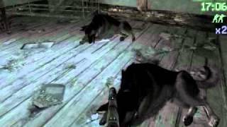 Call of duty 4 - All Ghillied Up - Veteran - Knife tangos in cabin - no alert