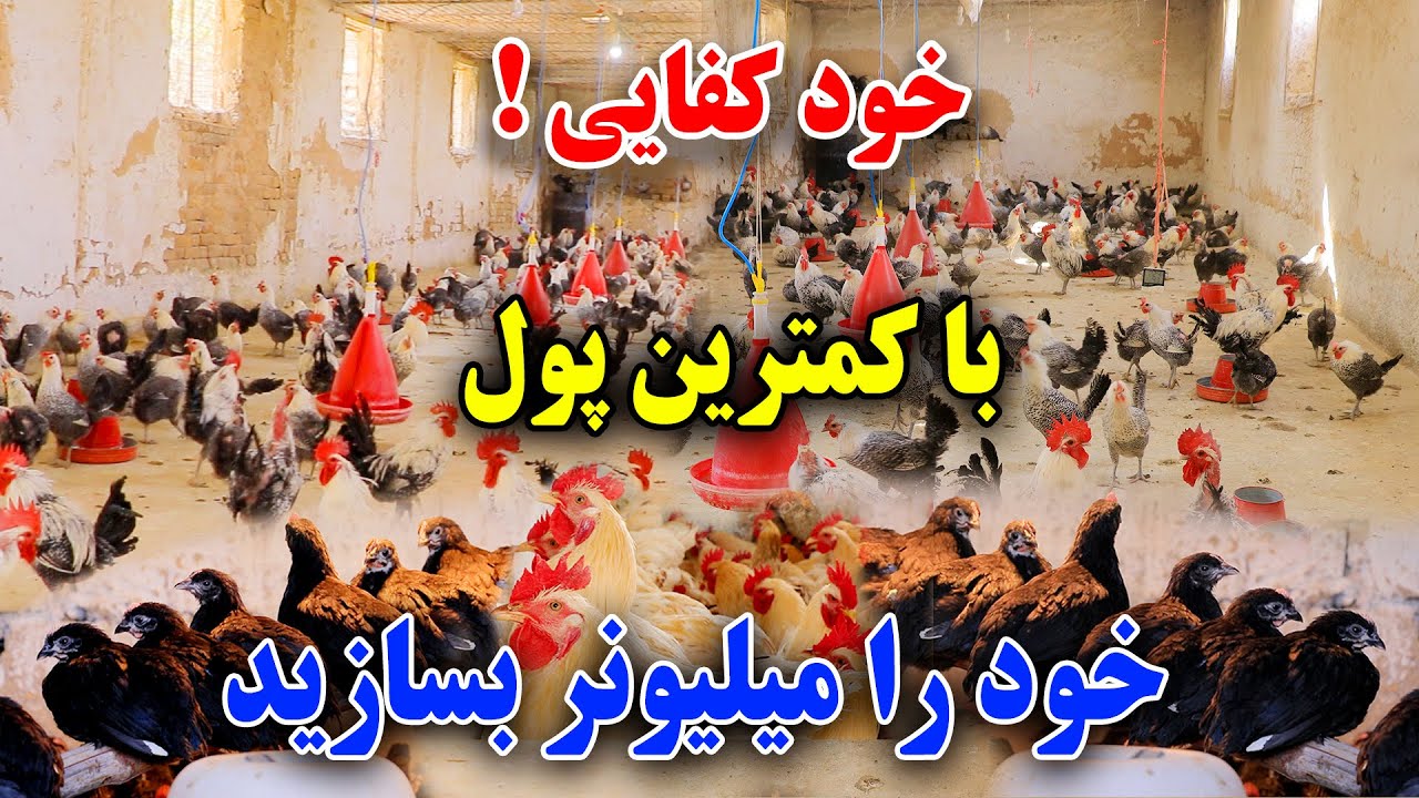 در یک قدمی میلیونر شدن با(5000AF) هیچ کار ناممکن نیست