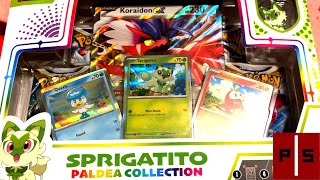Unboxing Paldea Collection Pokemon Trading Card Game | Pixel Slayers 4K