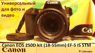 Зеркальный фотоаппарат Canon EOS 250D kit 18 55mm EF-S IS STM – универсальный для фото и видео