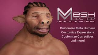 Custom Meta Human (No Maya)