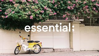 [Playlist] 산책이 좋아지는 계절🌿 | 가볍게 듣기 좋은 봄 노래 | spring vibe songs🌿