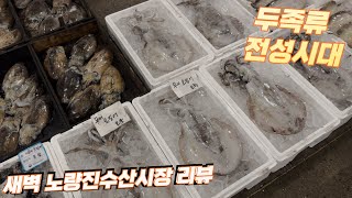 점포마다 두족류 들이 한가득! 새벽노량진수산시장 리뷰!