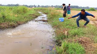 Fishing Video || Talented boy and girl fishing with hooks in paddy field canal ||  Best hook fishing