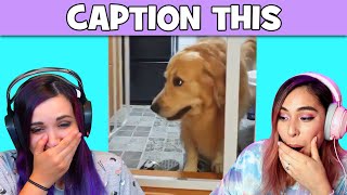 Caption This! w/ LaurenZside  Try Not To Laugh