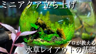 【初心者も簡単】ミニアクア立ち上げ in 地球 #6 screenshot 4