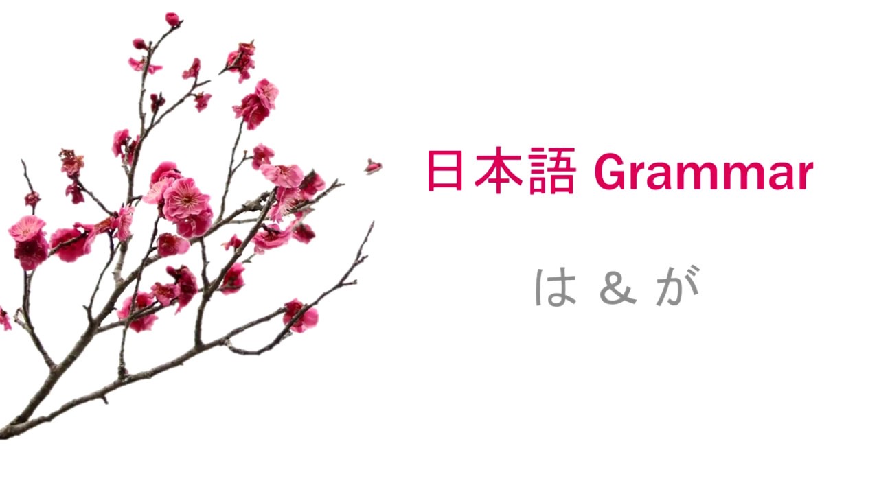Japanese Grammar: は (wa) and が (ga) Particles