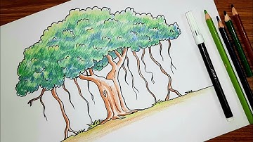 How to draw BANYAN TREE easy | বট গাছ আঁকার সহজ কৌশল | National tree of INDIA easy drawing |