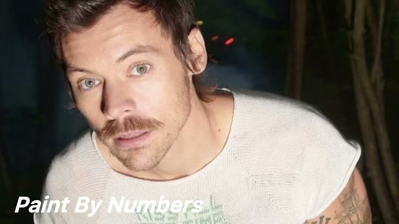 Harry Styles - Paint By Numbers but you’re in an empty arena🎧