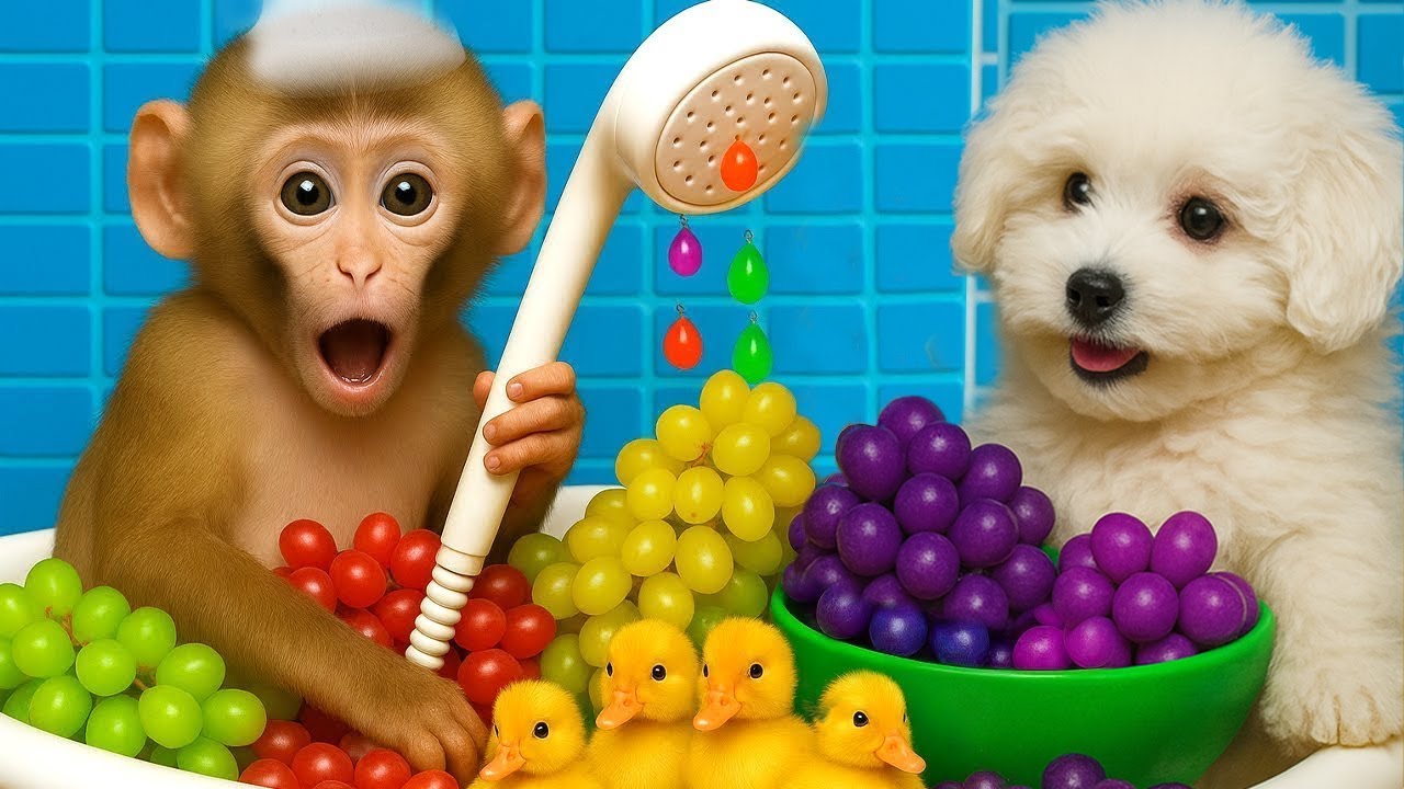 Bebé Mono DuDu se da un baño de arcoíris y come uvas con un lindo cachorro - MONKEY DUDU