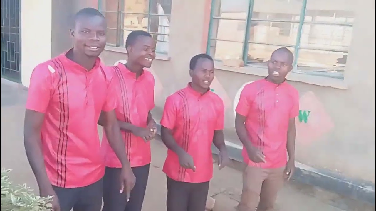 PHINEAS BROTHERS. MAULENDO