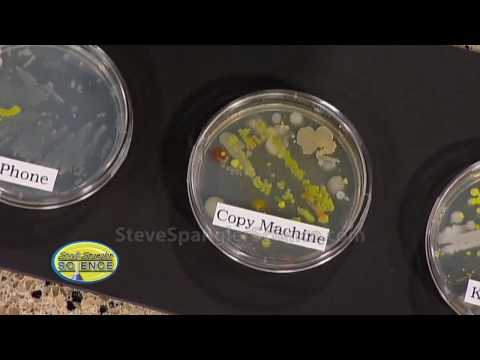 Video: Ce semnificație are cutia Petri?