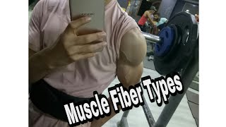 muscle fiber types and rep ranges.......انواع الالياف العضلية و نطاق العدات