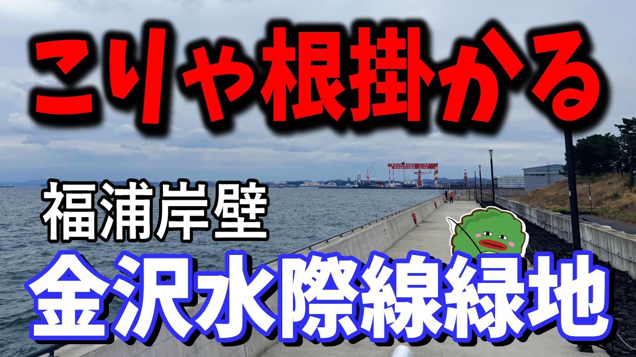 【金沢水際線緑地】カメラ根掛かるて