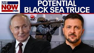 Ukraine reportedly offers Russia truce in Black Sea over food supply fears