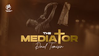 THE MEDIATOR (PAUL TOMISIN) - THE SOUND OF A NATION