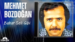 Mehmet Bozdoğan - Bahar Seli Gibi