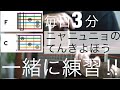 【ニャニュニョのてんきよほう】毎日3分でFコードが絶対弾ける!!コードチェンジが素早くなる!!保育士試験2020 令和2年課題曲 【初心者レッスン】【ミニギター】#一緒にやってみよう