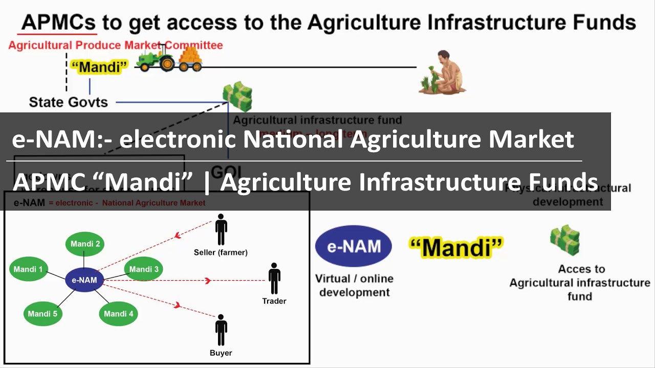 What Is E Nam National Agriculture Market APMC mandi Agriculture what-is-e-nam-national-agriculture-market-apmc-mandi-agriculture