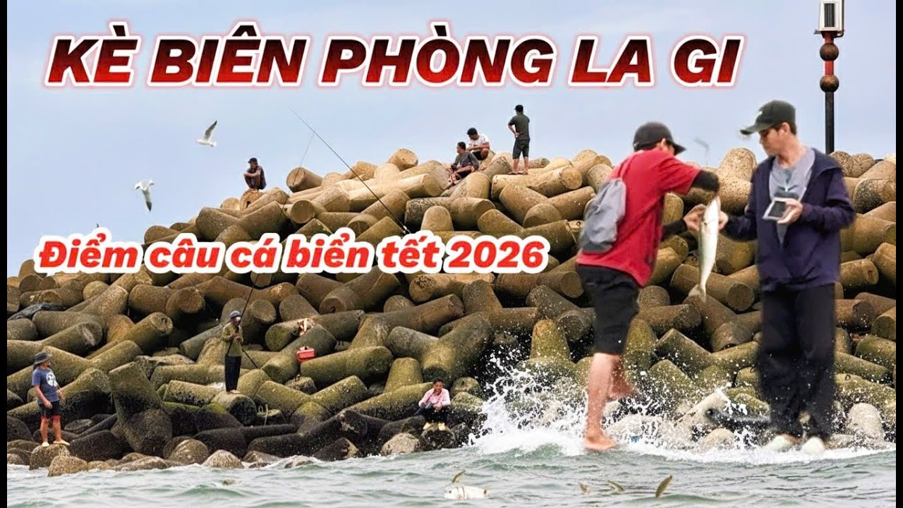 Tết 2026 Về Quê La Gi Câu Cá Biển Kè Biên Phòng – Không Lo Móm