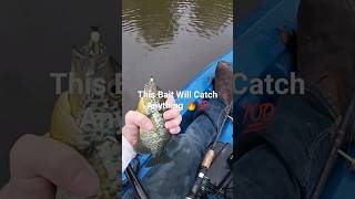 Catching Shell Crackers On Artificial Lures #shorts
