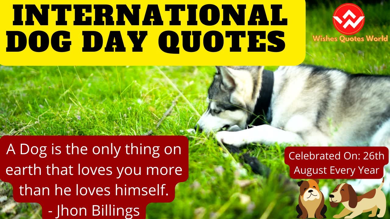 Happy International Dog Day Quotes 2023 For Dog Lovers | Funny Dog Day Quotes || Wishes Quotes World