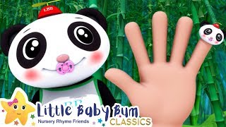 Finger Family! | Little Baby Bum - Brand New Nursery Rhymes for Kids