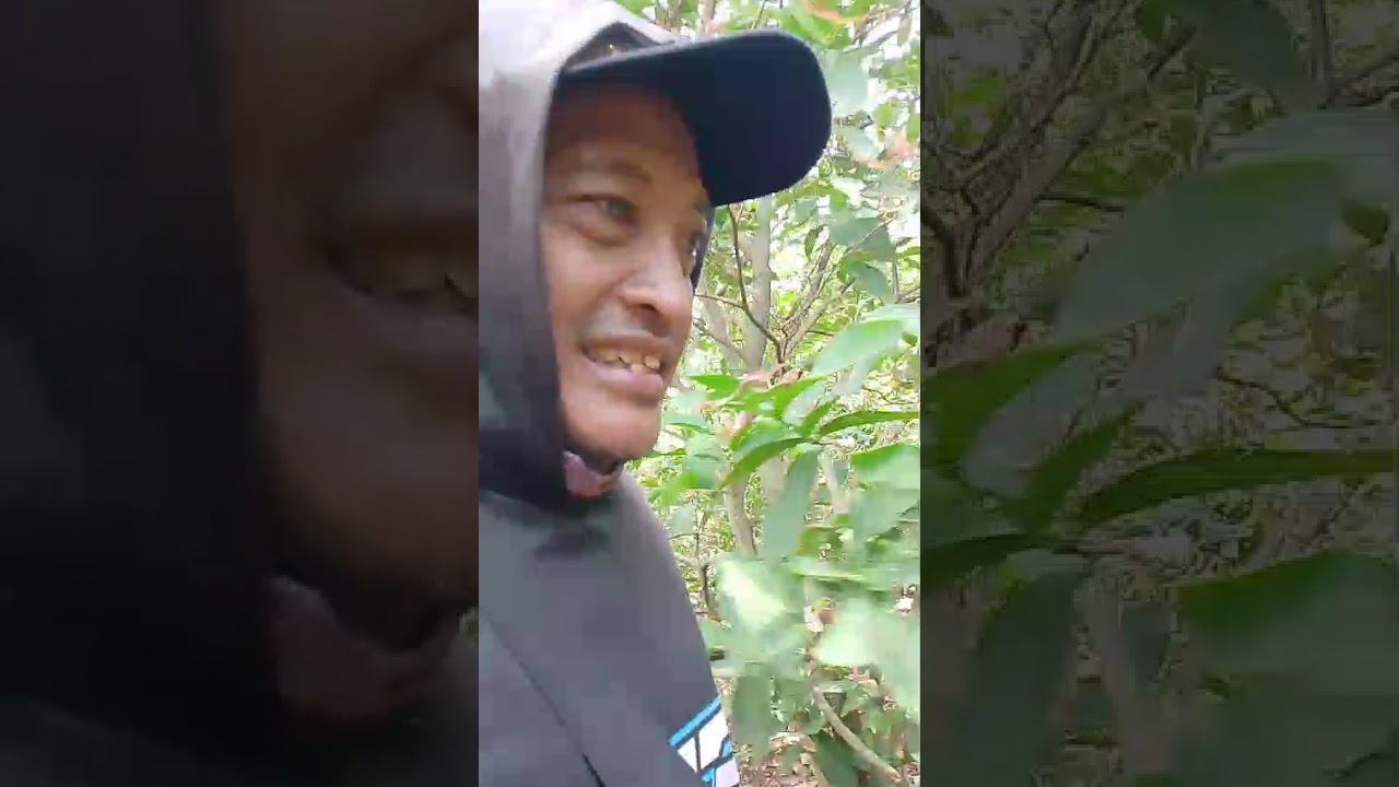 Panen, Proses lagi, Bungkus, Panen lagi, Proses Lagi, Bungkus lagi.. Kapan Habisnya @beensaetani625 