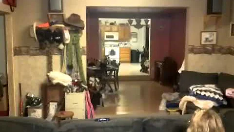 Pepper playing hide and go seek