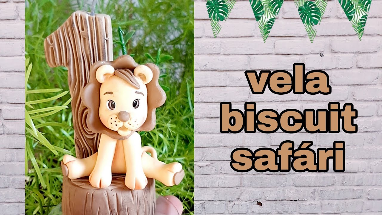 vela de biscuit safari para iniciantes.  