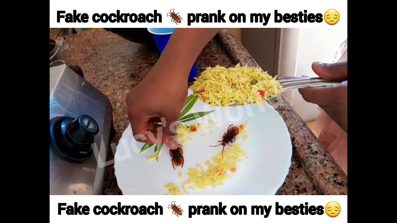 Faķe/plastic cockroach 🪳 prank on my besties #prank #bestie - YouTube