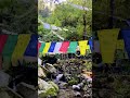 Dalhousie #beautiful #music #soothing #beauty#mountains#peaks