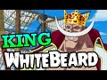 If WHITEBEARD Became King Of The Pirates - One Piece Discussion | Tekking101