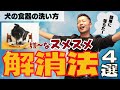 【洗剤不要】あの嫌なヌメヌメも簡単に落ちる！犬の食器の洗い方４選