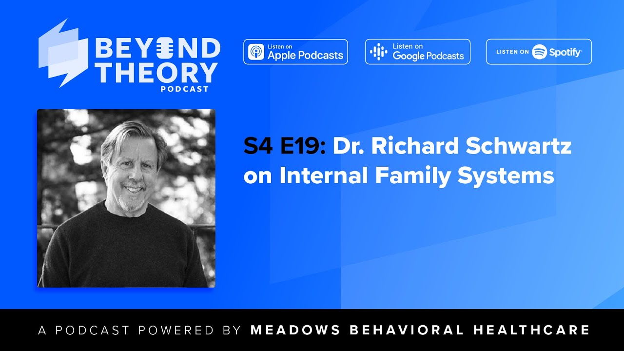 Beyond Theory Podcast S4 E19: Dr. Richard Schwartz on Internal Family Systems