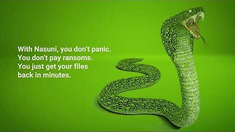 When Ransomware Bites, We