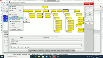 Organisational Breakdown Structure - OBS in Primavera P6 (Watch & Learn)