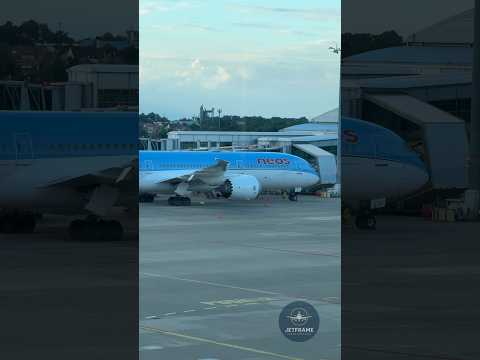   787         787  