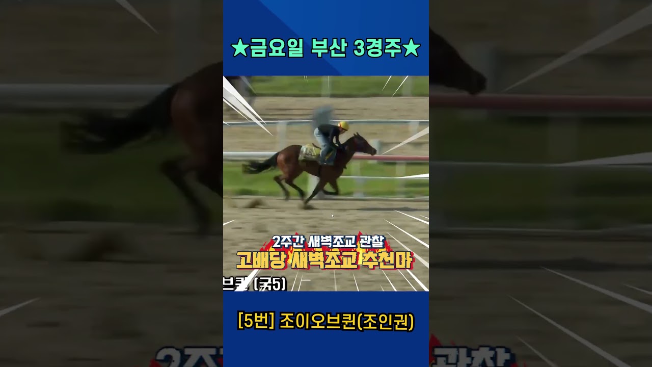 6월12일 금요일 부산 3경주!! 2주간 훈련보인 강백호의 새벽조교 쏘스마!!