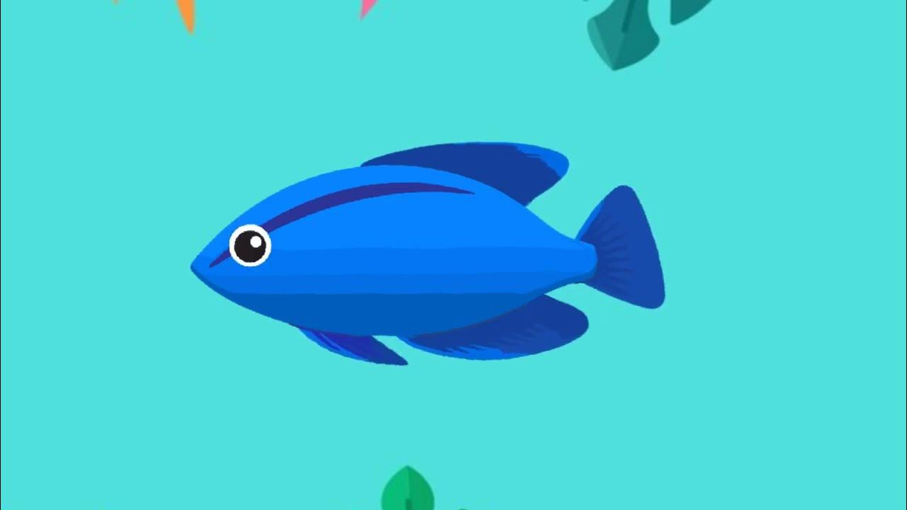 Fish Animation Fishes YouTube
