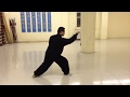 Xing yi quan hsingi   5 elements slowmotion demonstration