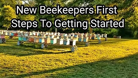 New Beekeepers First Steps To Getting Started
