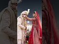 Cute couple#wedding#punjabi#shortvideo