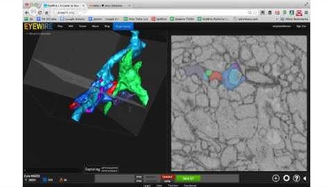 EyeWire Heatmap Demo