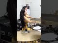 #架子鼓你们猜猜我在笑什么?