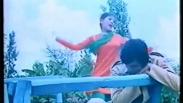 Barsaat Ka Mausam Hai Sajan Door Na Jao - Naheed Akhter - Kharidar