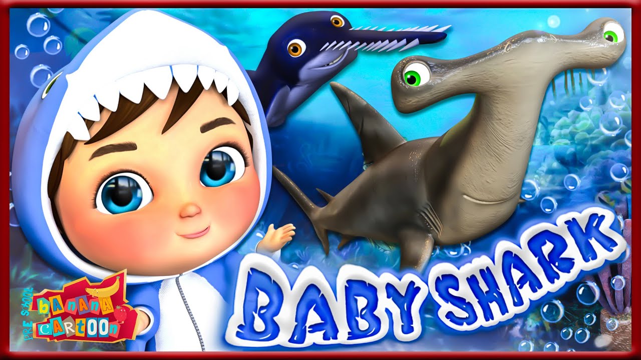 Baby Shark  @CoComelon Nursery Rhymes & Kids Songs 