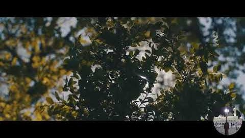 تلاوة مما تيسر من سورة الكهف من صلاة التهجد لشهر رمضان الماضي لعام ١٤٤٠الموافق ٢٠١٩